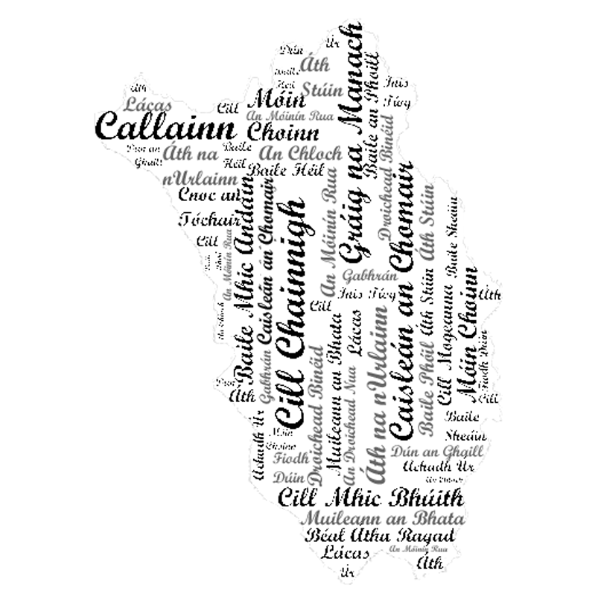 Map of Kilkenny county. Free SVG